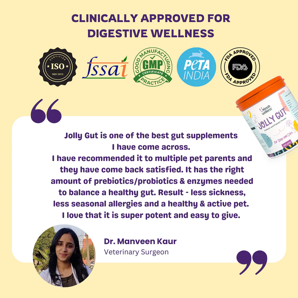 Unleash Wellness Jolly Gut Pre and Pro Biotic Supplement for Dogs and Cats image 6