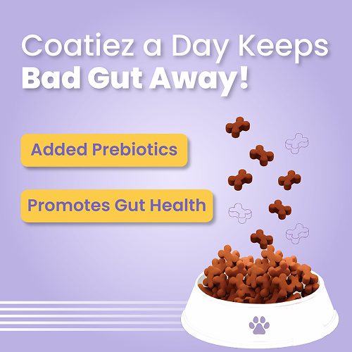 Bark Out Loud Coatiez Soft Chews Dog Treats image 5