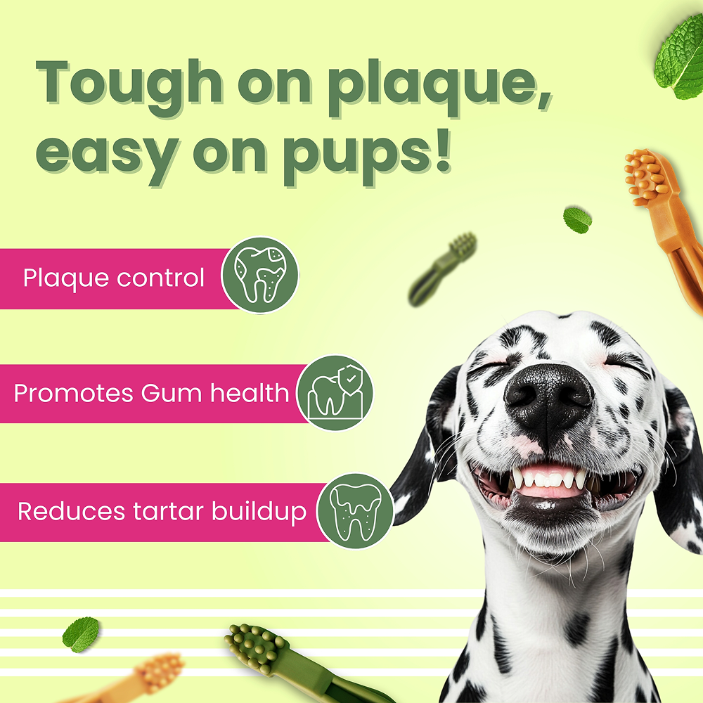 Bark Out Loud by Vivaldis Grain Free Chicken Dental Chews Dog Treats image 3