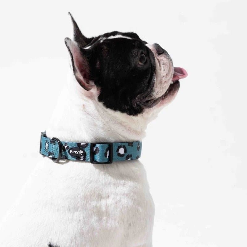 Furry & Co Wild One Comfort Collar for Dogs image 7