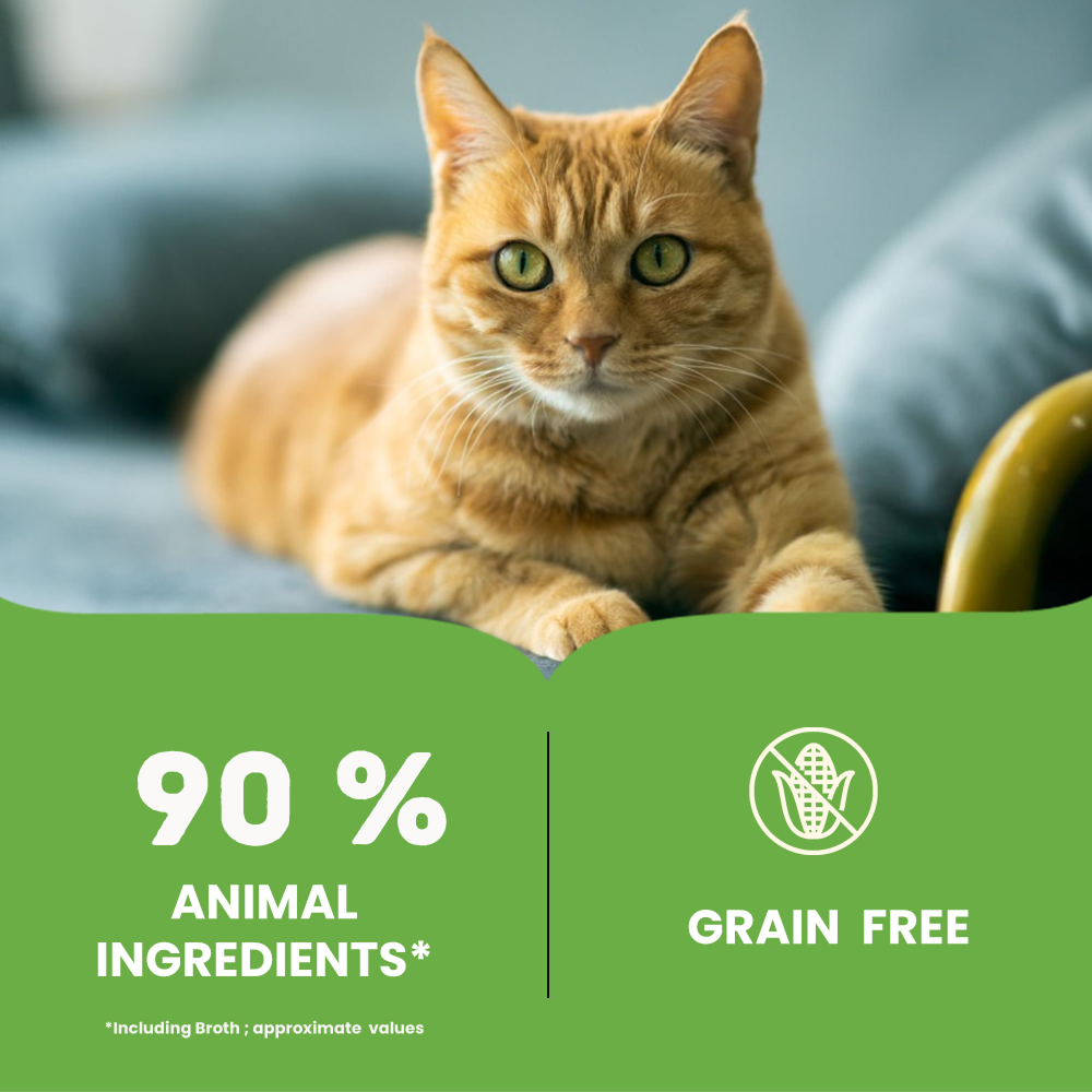 Bruno's Wild Essentials Tuna with Salmon & Parsely Cat Wet Food image 2