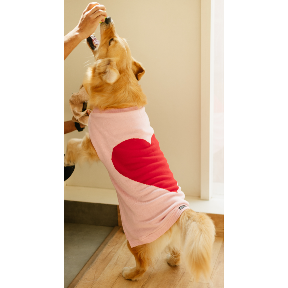 Pet Set Go Ira’s Sweater for Dogs and Cats (Red & Pink) image 4