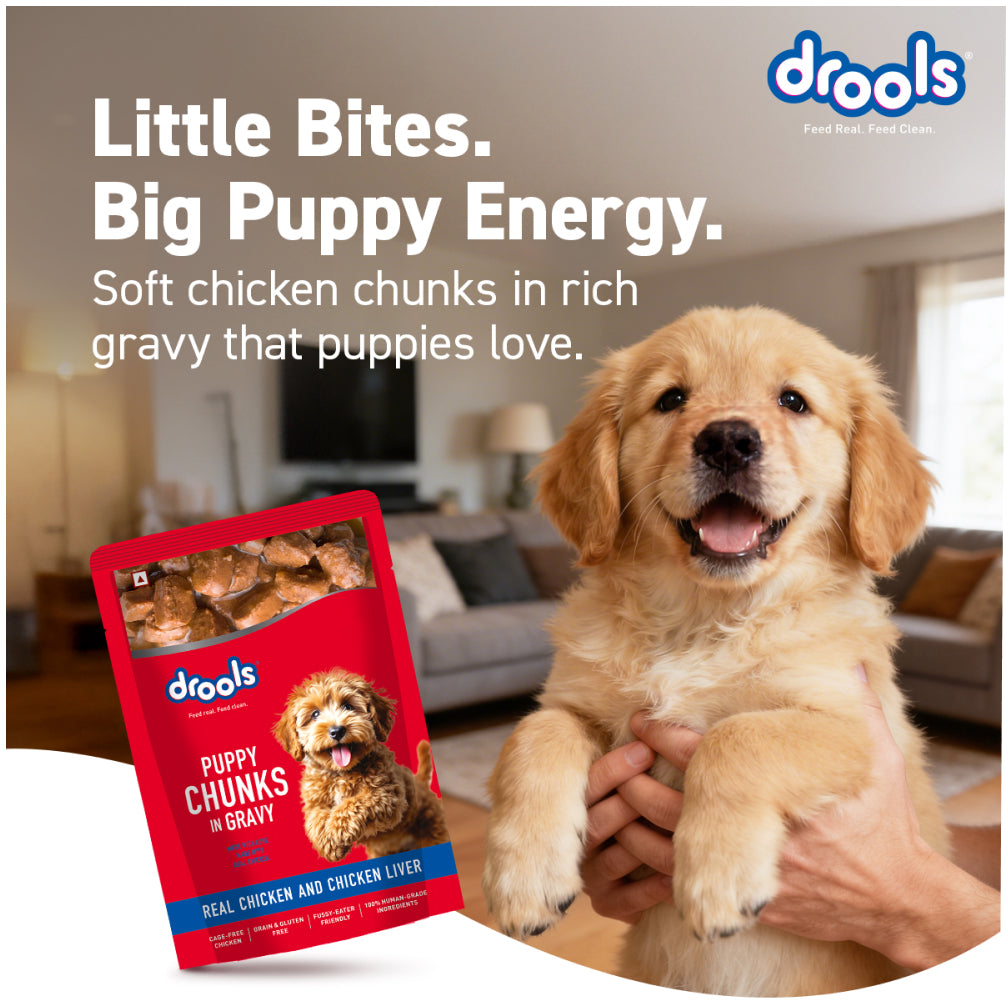 Drools Real Chicken & Chicken Liver Chunks in Gravy Puppy Dog Wet Food image 4