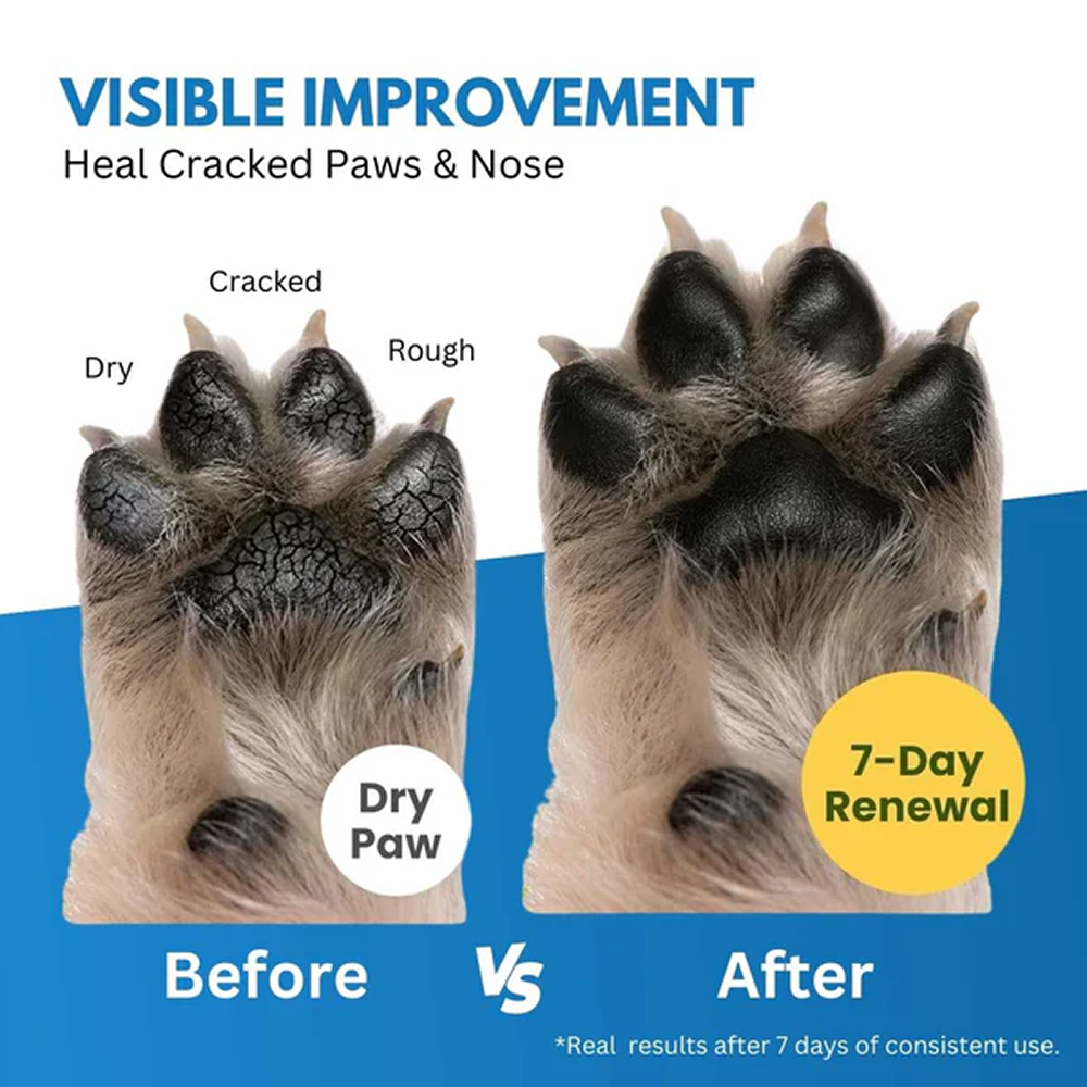 Hank Paw Cream for Dogs and Cats image 3