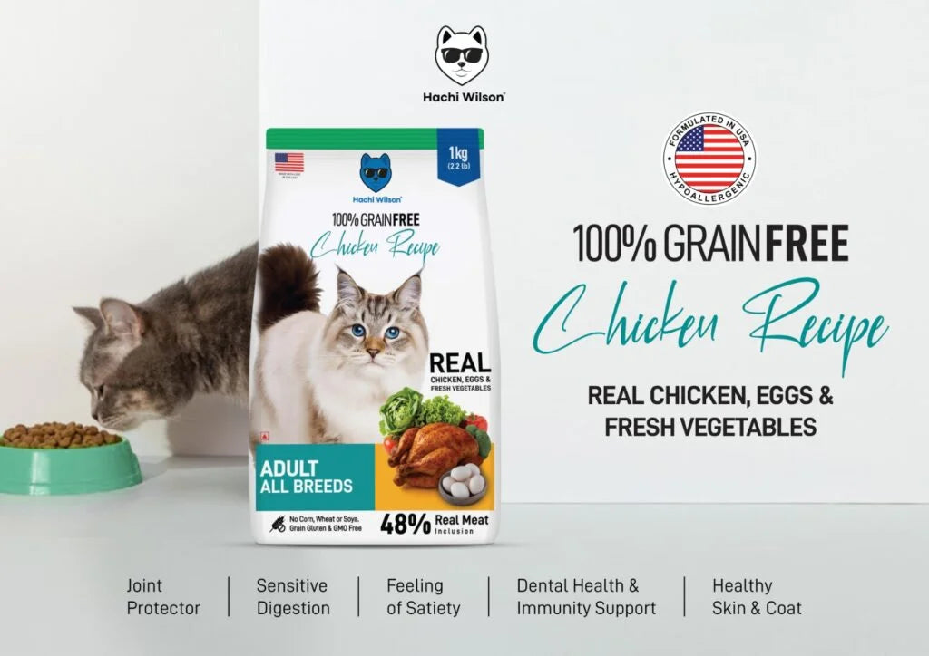 Hachi Wilson Grain Free Chicken Adult Cat Dry Food image 4