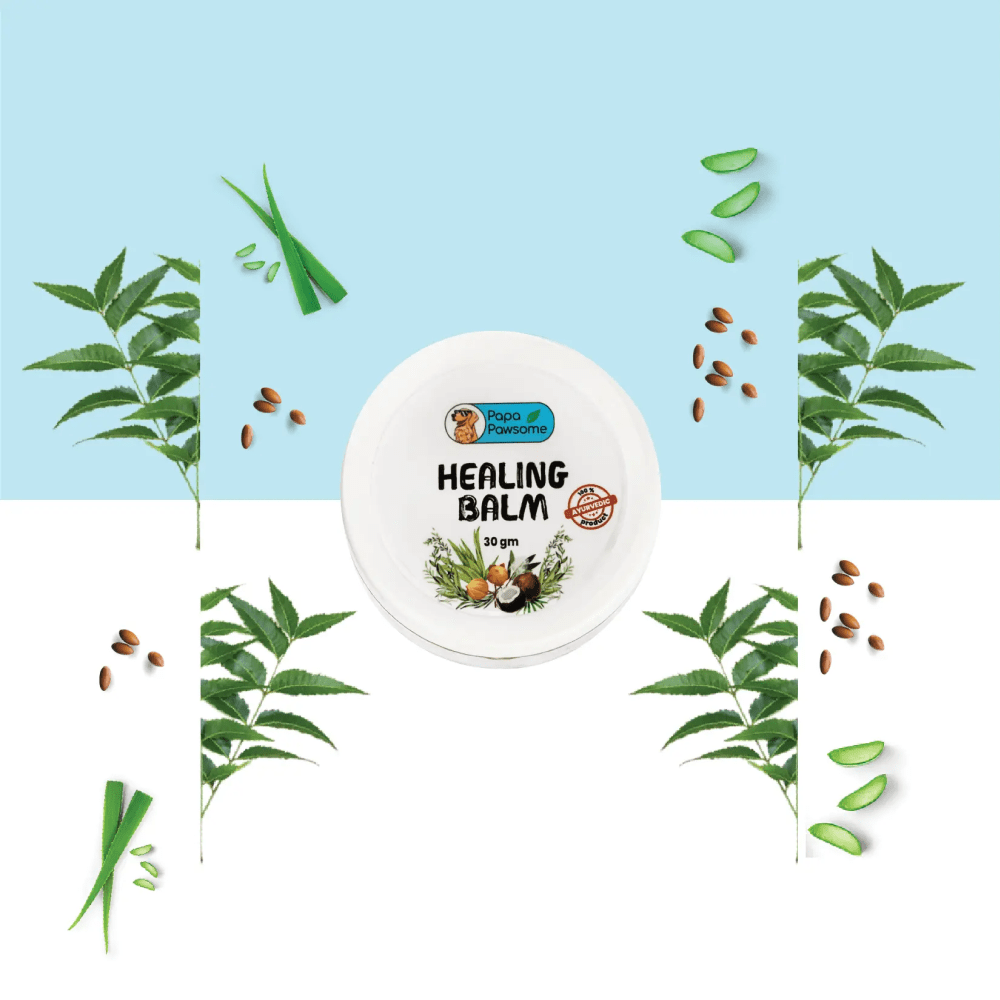 Papa Pawsome 100% Natural Healing Balm for Dog image 4