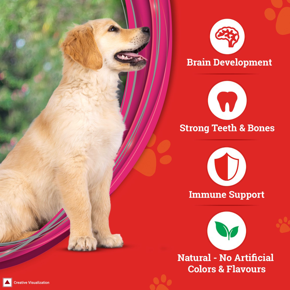 Purina SuperCoat Chicken Puppy Dry Food image 5