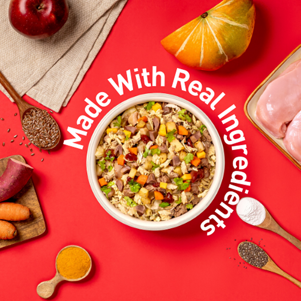 Homiee & Ginger Mini Meals Chicken & Barle, Chicken & Sweet Potato and Chicken & Quinoa Fresh Food for Dogs Combo image 10