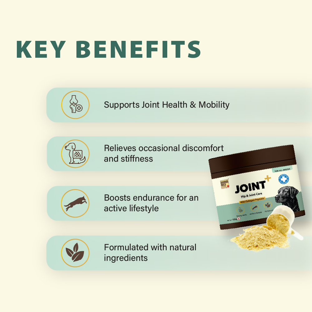 Bruno's Wild Essentials Joint+ Hip & Joint Care Supplement for Dogs image 9