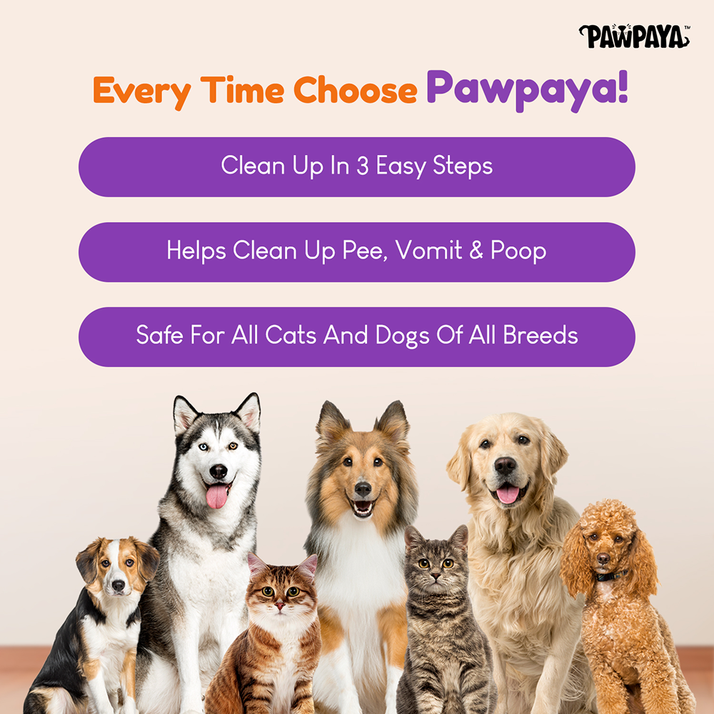 Pawpaya Pee Lock Powder for Dogs and Cats image 5