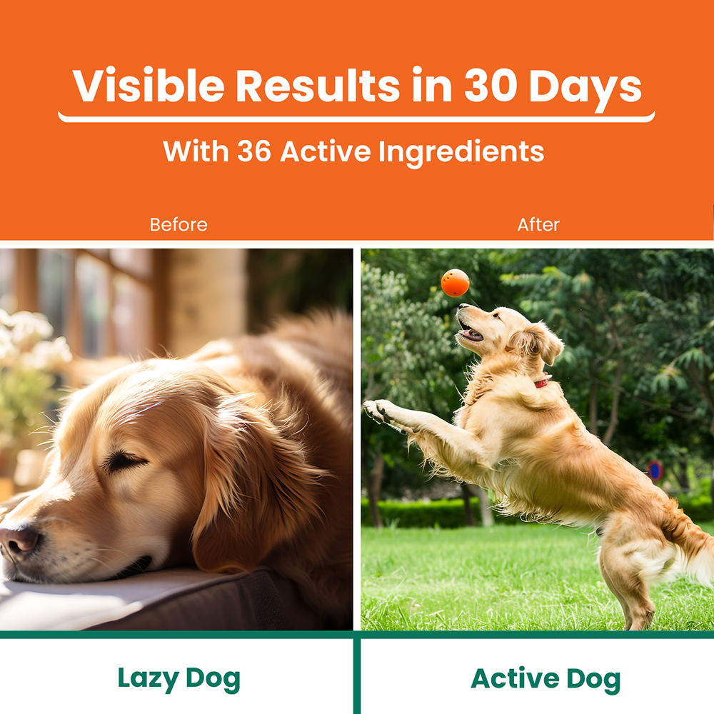 Lickicious Chicken Flavour Multivitamin Syrup for Dogs & Cats image 3