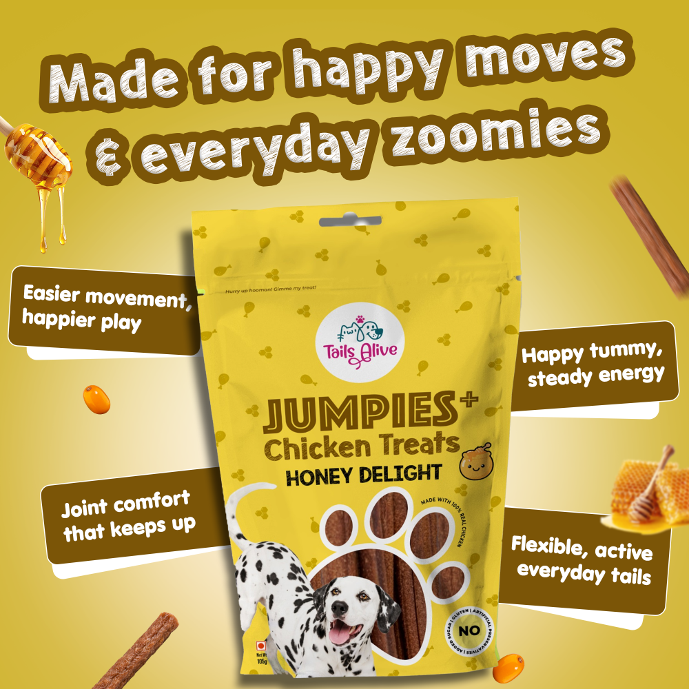 Tails Alive Jumpies+ Honey Delight Chicken Treat Sticks for Dogs image 7