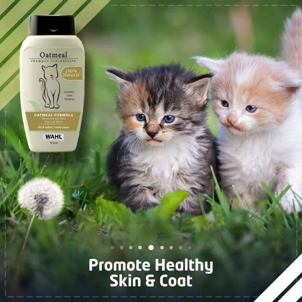 Wahl Oatmeal Shampoo for Cats image 6