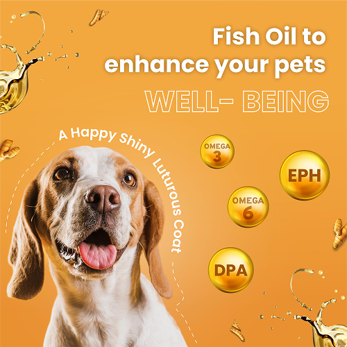 Bark Out Loud Glow and Shine Turmeric Chew Stix for Dogs and Cats image 4