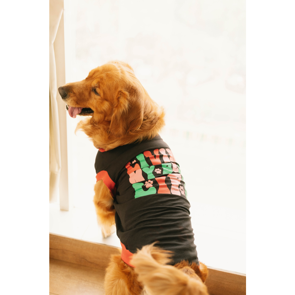 Pet Set Go Living My Best Life T-shirt for Dogs (Black) image 4