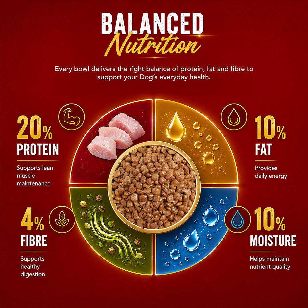 Drools Chicken and Egg Adult Dry Dog Food with Free Creamy Treat Pouches image 6