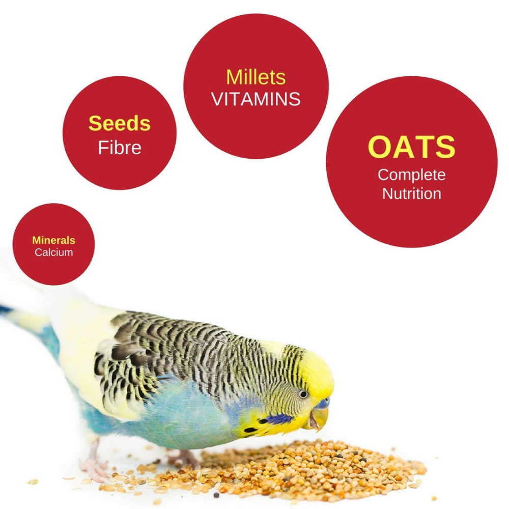 Vitapol Economic Food for Budgies image 2