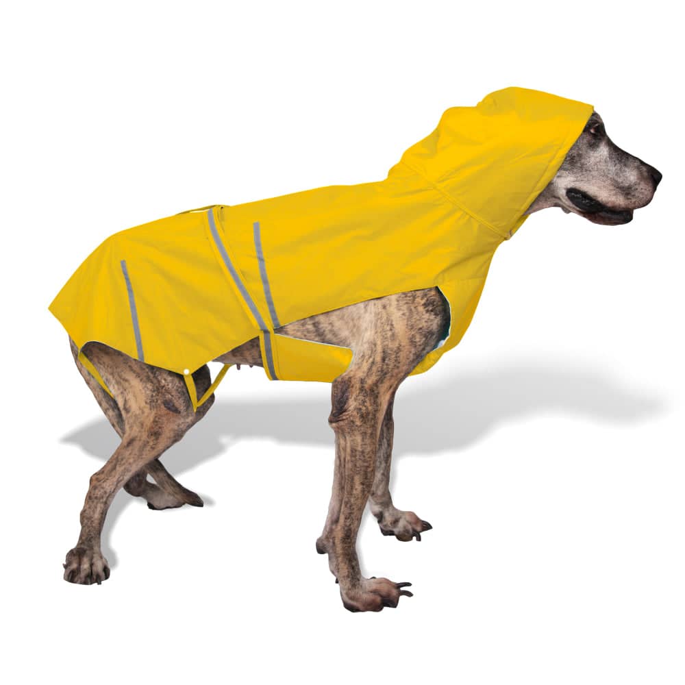 PetWale Reflective Raincoat for Dogs (Yellow) image 9