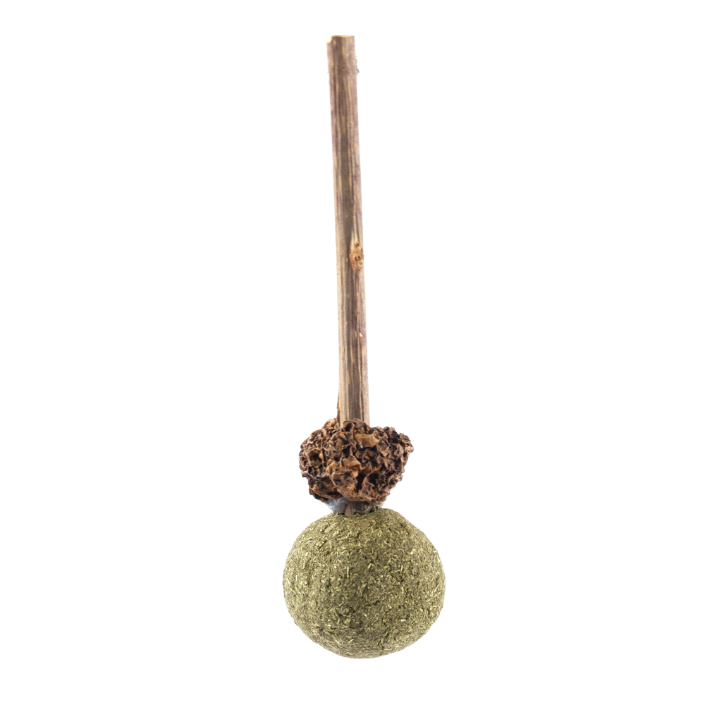 Trixie Matatabi Lolly Toy for Cats image 3
