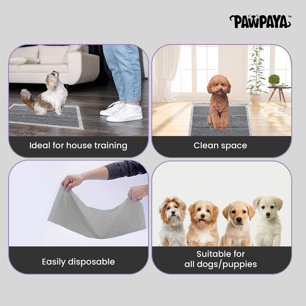 Pawpaya Carbon Training Pad for Dogs (White) image 5