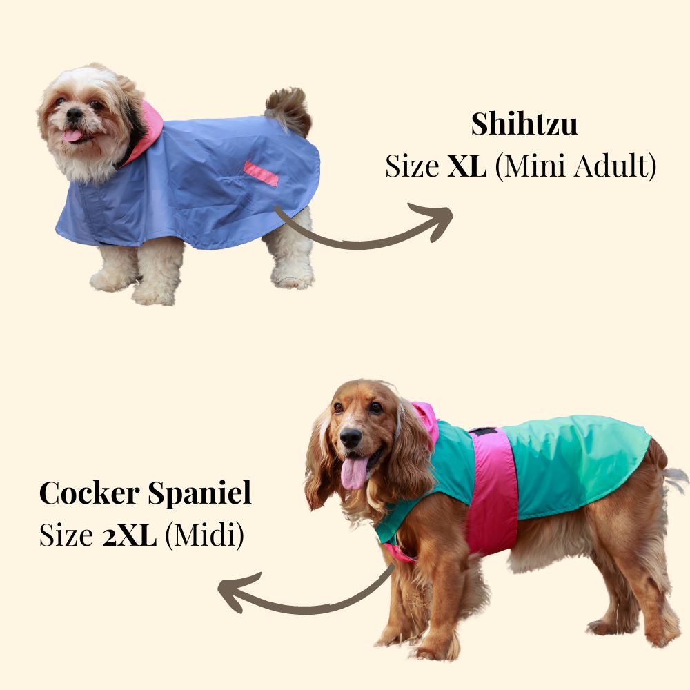 Pet Set Go Dual Colour Cape Style Raincoat for Dogs (Pink) image 8