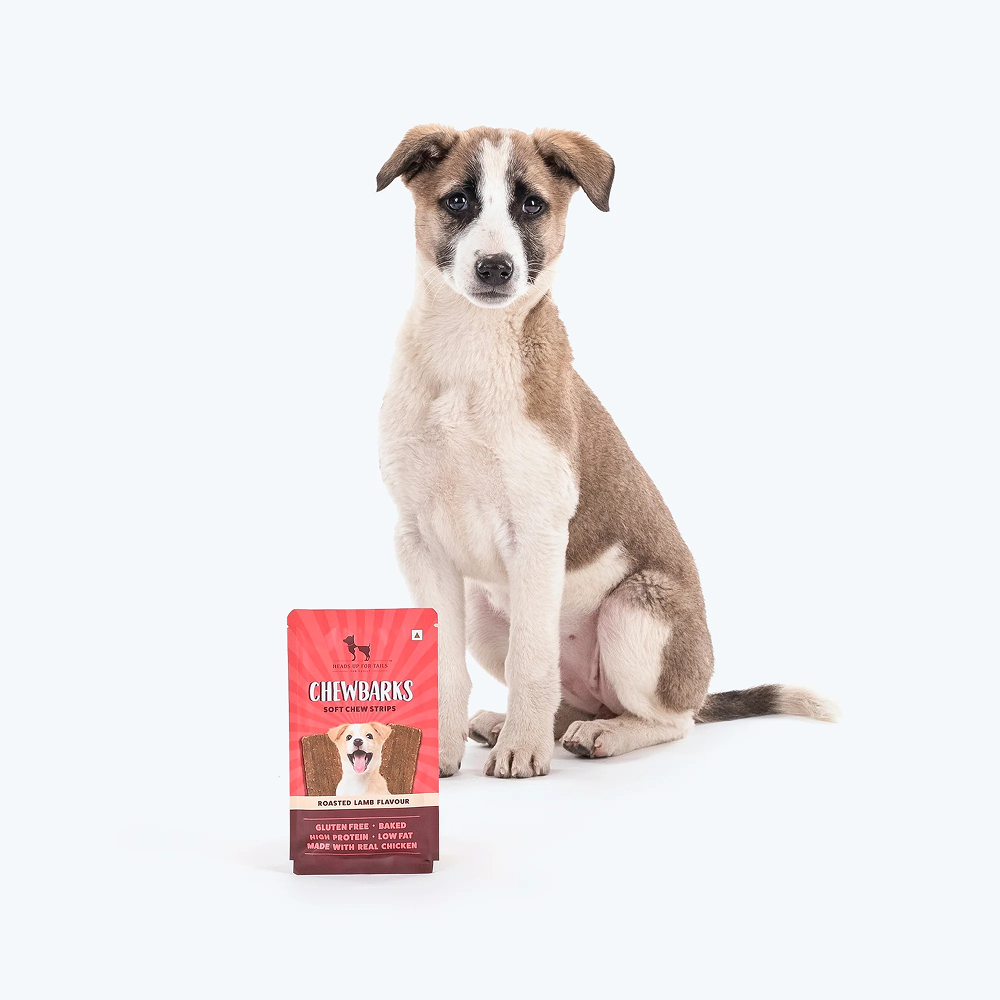 HUFT Chewbarks Gluten Free Roasted Lamb Soft Chew Strips Dog Treats image 8