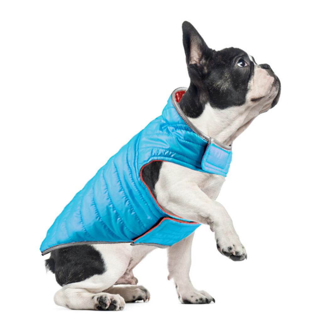 Talking Dog Club Double Trouble Reversible Jackets for Dogs (Red/Blue) image 2