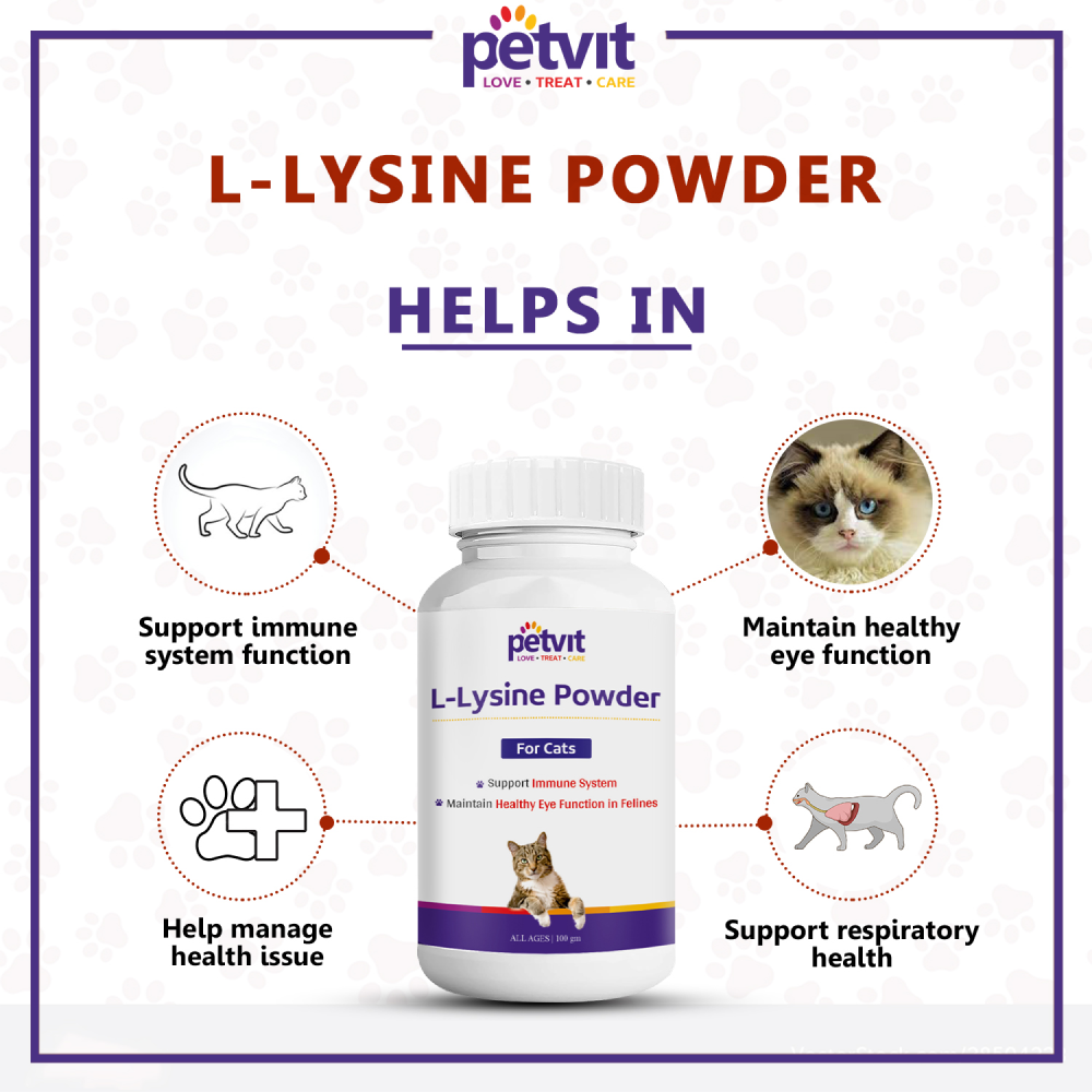 Petvit L Lysine Powder for Cats image 2