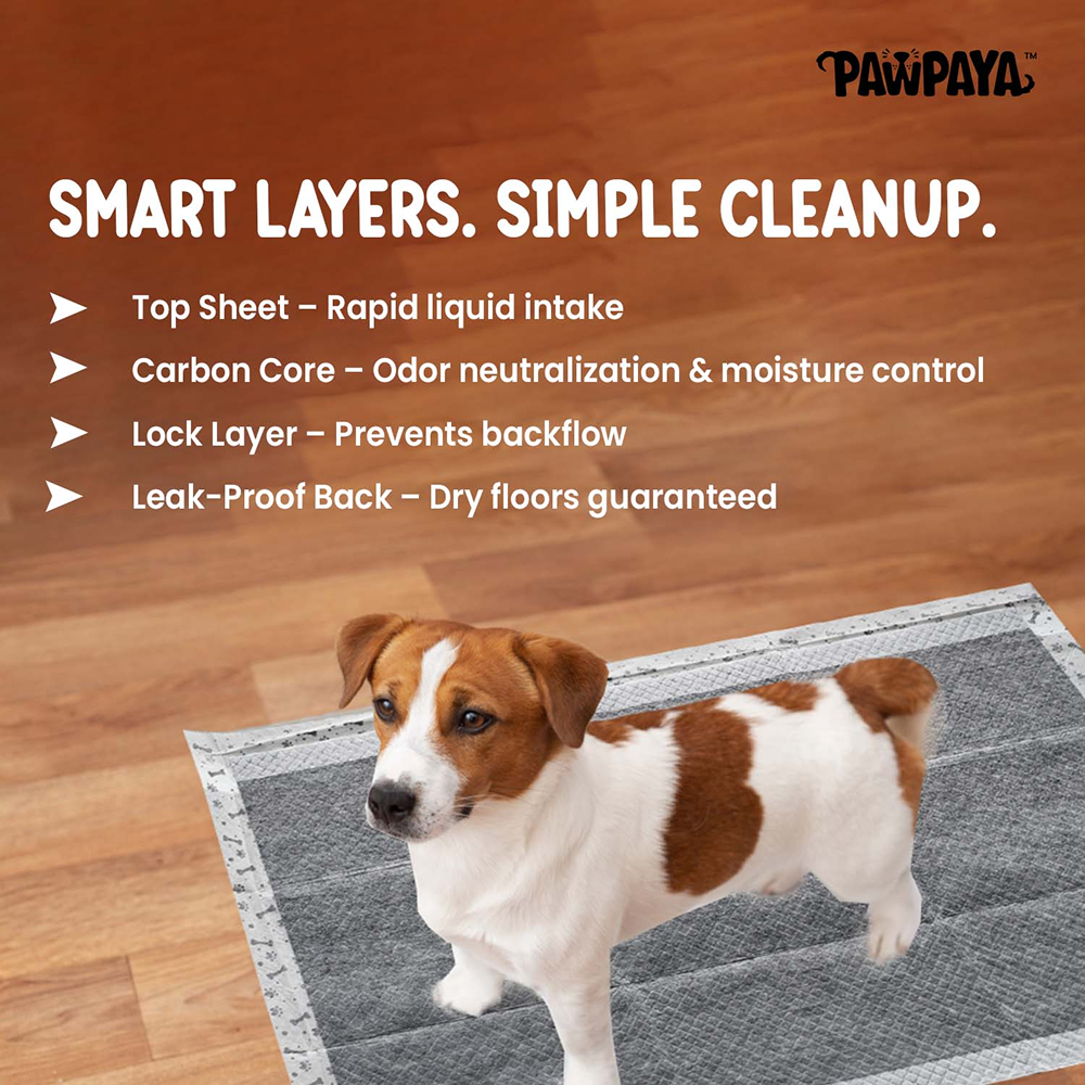 Pawpaya Carbon Training Pad for Dogs (White) image 4