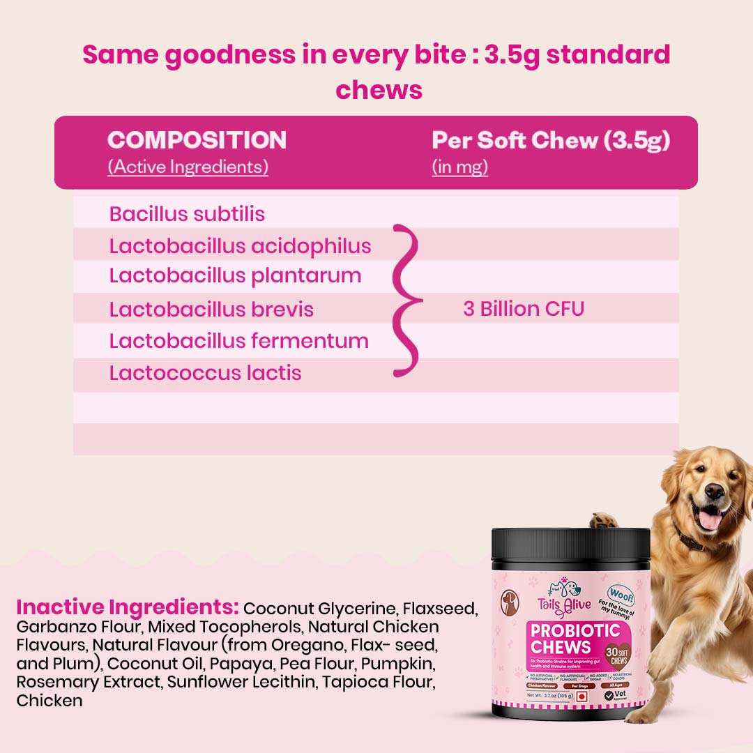 TailsAlive Probiotic Chicken Flavor Soft Chews Supplements for Dogs image 3