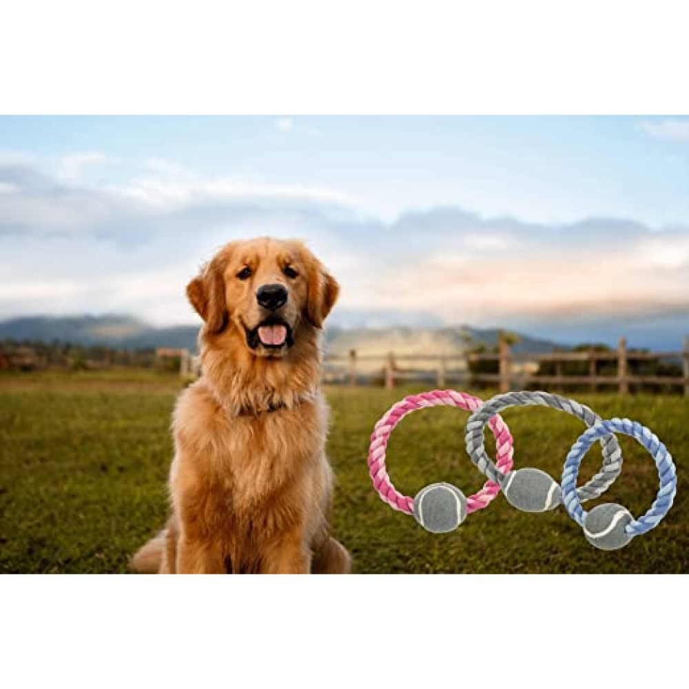 Trixie Rope Ring with Tennis Ball Toy for Dogs (Pink) | For Medium Chewers image 7