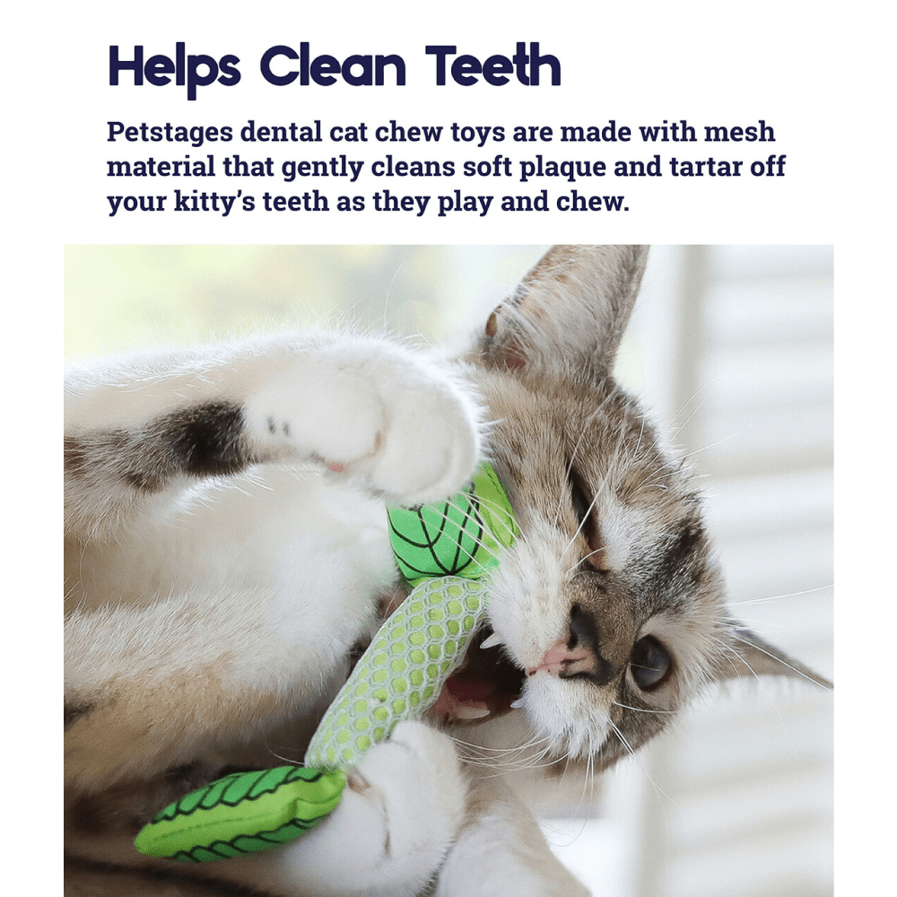 Outward Hound Fresh Breath Mint Stick for Cats image 4