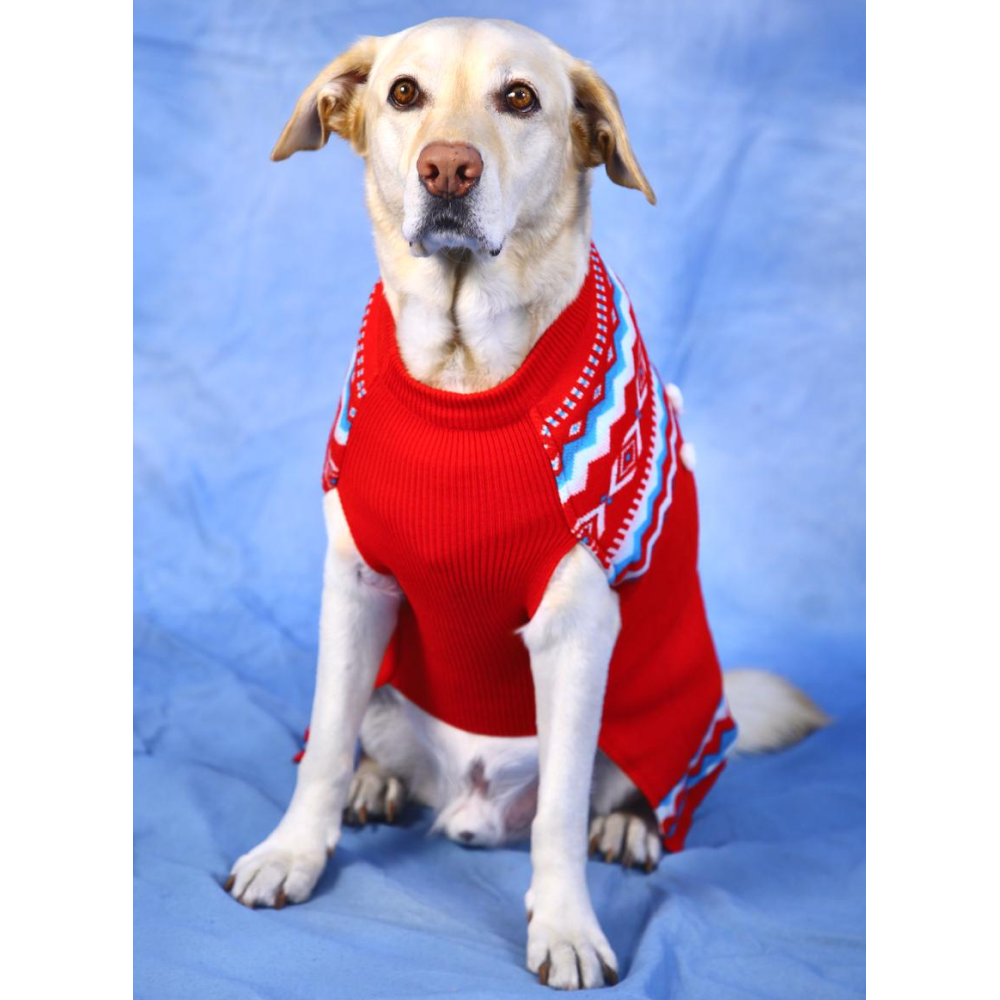 Dogobow Aztec Knit Sweater for Dogs and Cats (Red) (Get a Bow Free) image 6