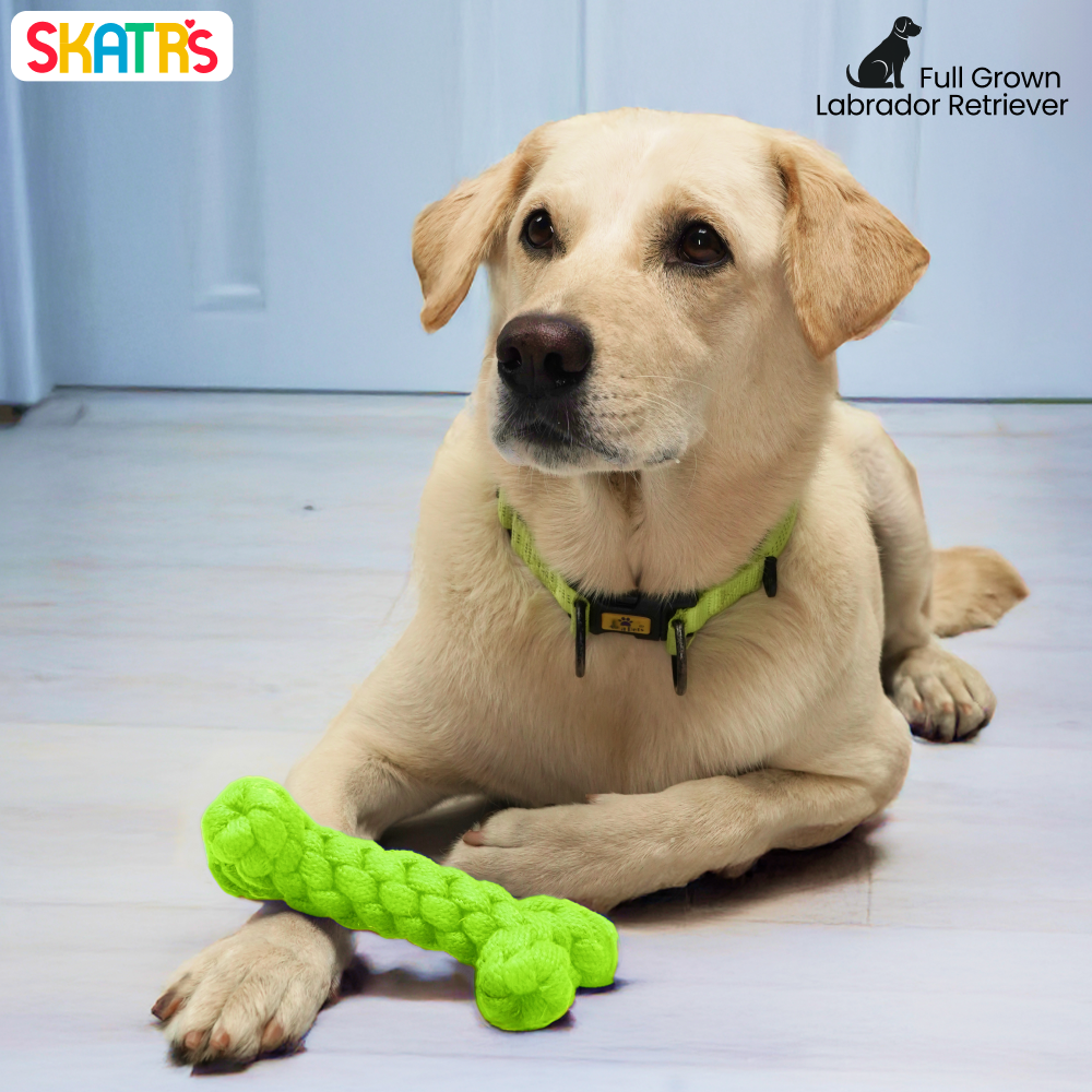 Skatrs Bone Shaped Rope Chew Toy for Dogs and Cats (Neon Green) image 3