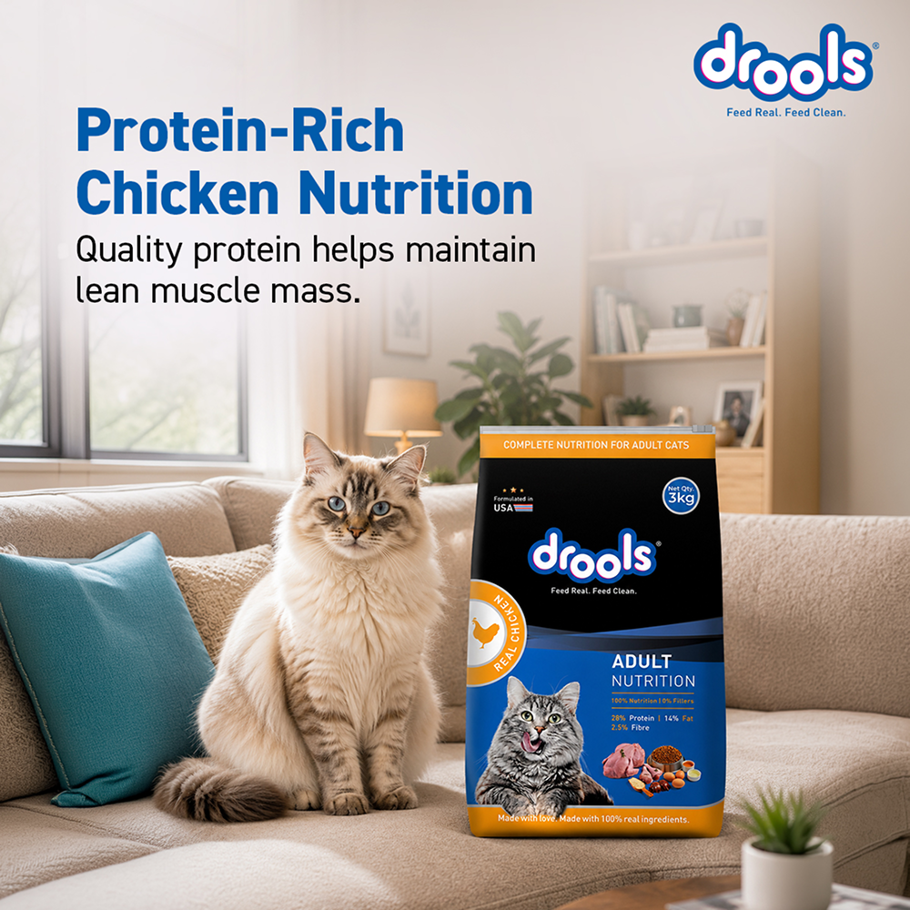 Drools Real Chicken Adult Cat Dry Food image 9