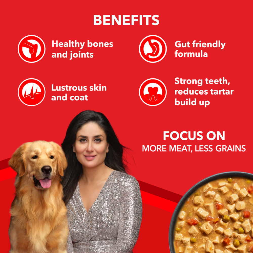 Drools Focus Real Chicken & Chicken Liver Chunks in Gravy Adult Dog Wet Food image 4