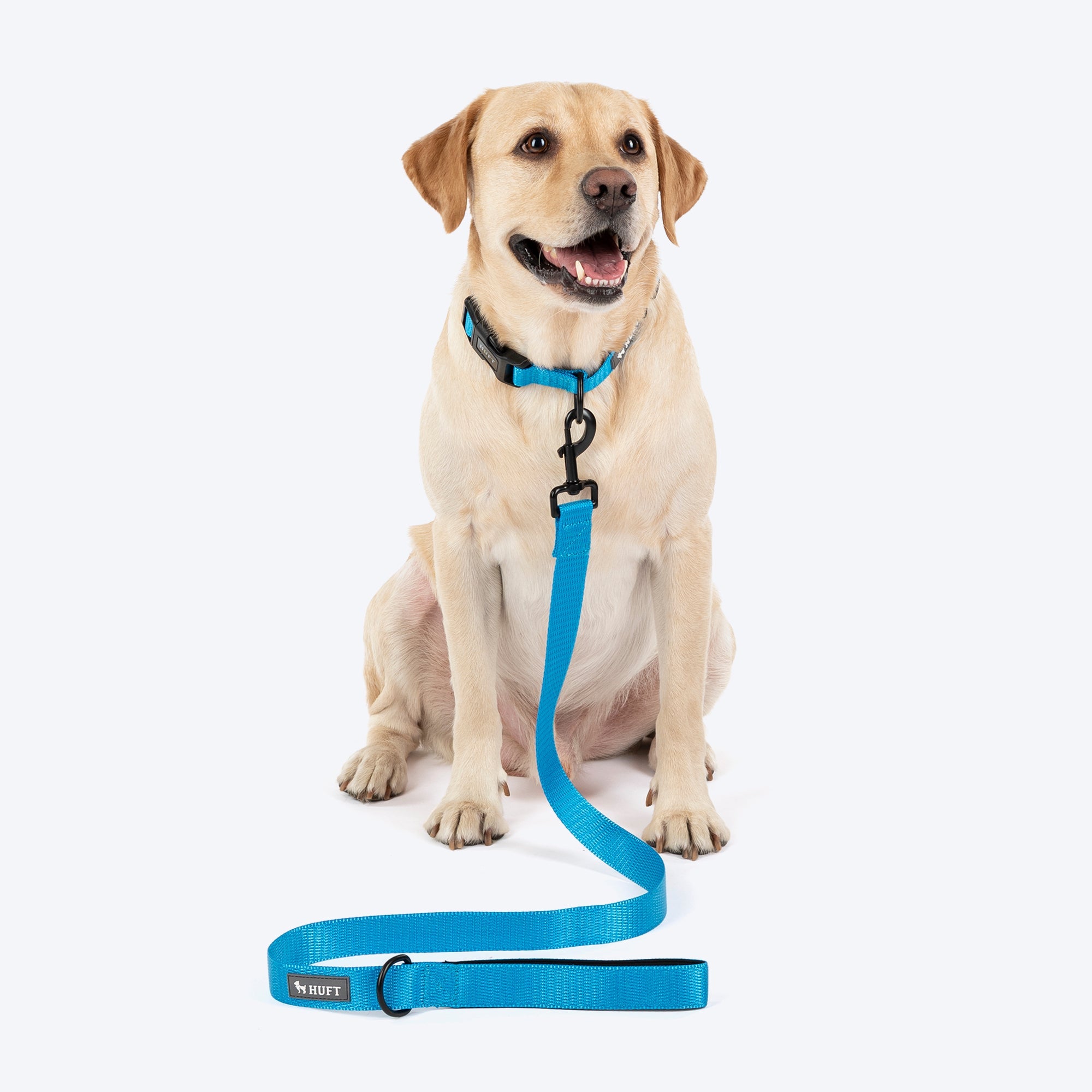 HUFT Classic Leash for Dogs (Ocean Blue) image 4