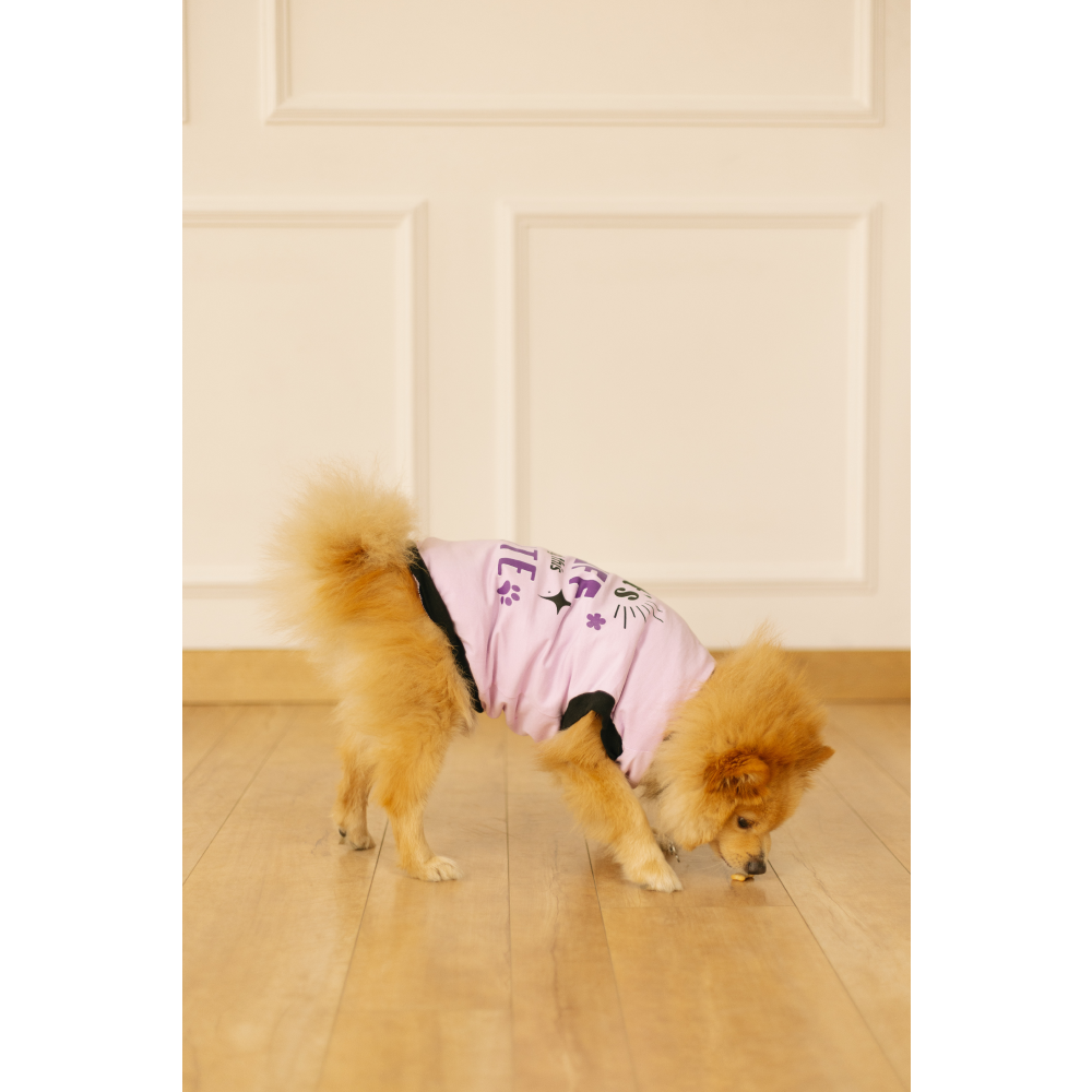 Pet Set Go Its Ruff Being This Cute T-Shirt for Dogs (Light Voilet) image 3