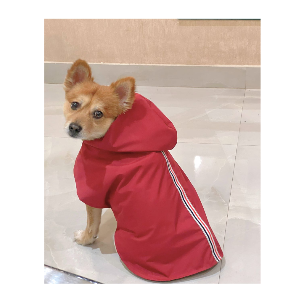 Petsnugs 100% Waterproof Raincoat for Dogs and Cats (Red) image 3