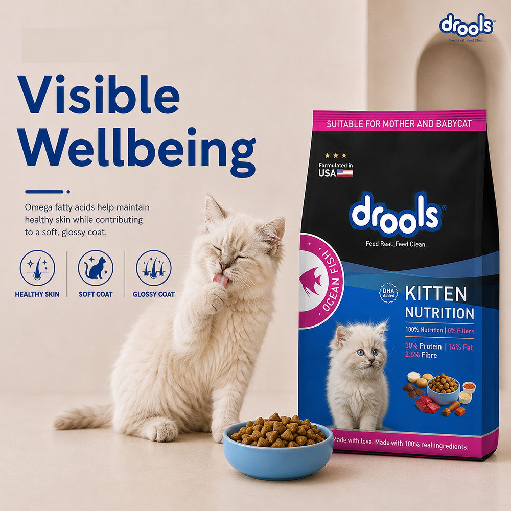 Drools Ocean Fish Kitten Cat Dry Food image 10