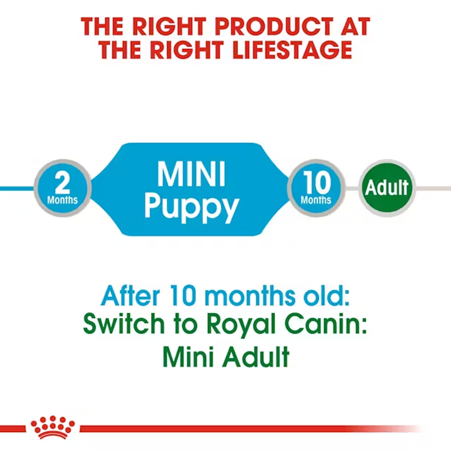 Royal Canin Mini Puppy Dog Wet Food image 3