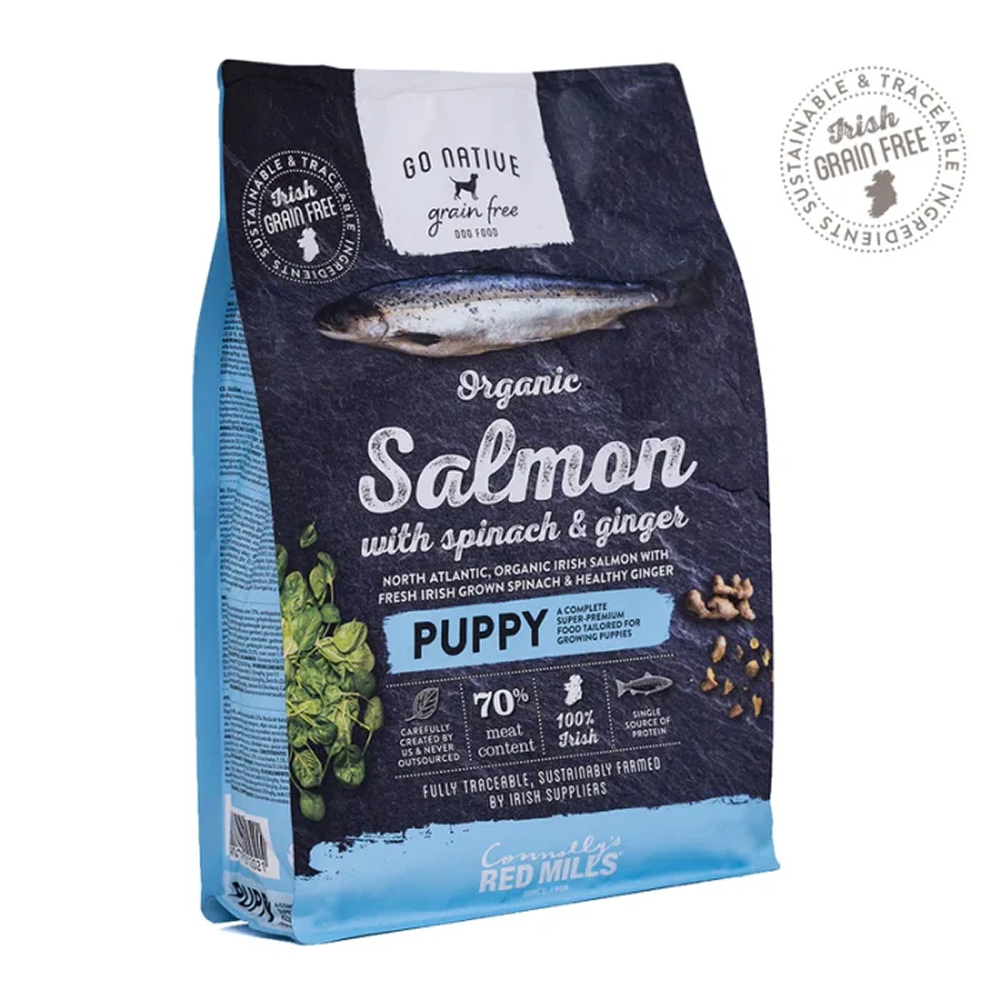 Go Native Salmon with Spinach & Ginger Puppy Dog Dry Food image 2