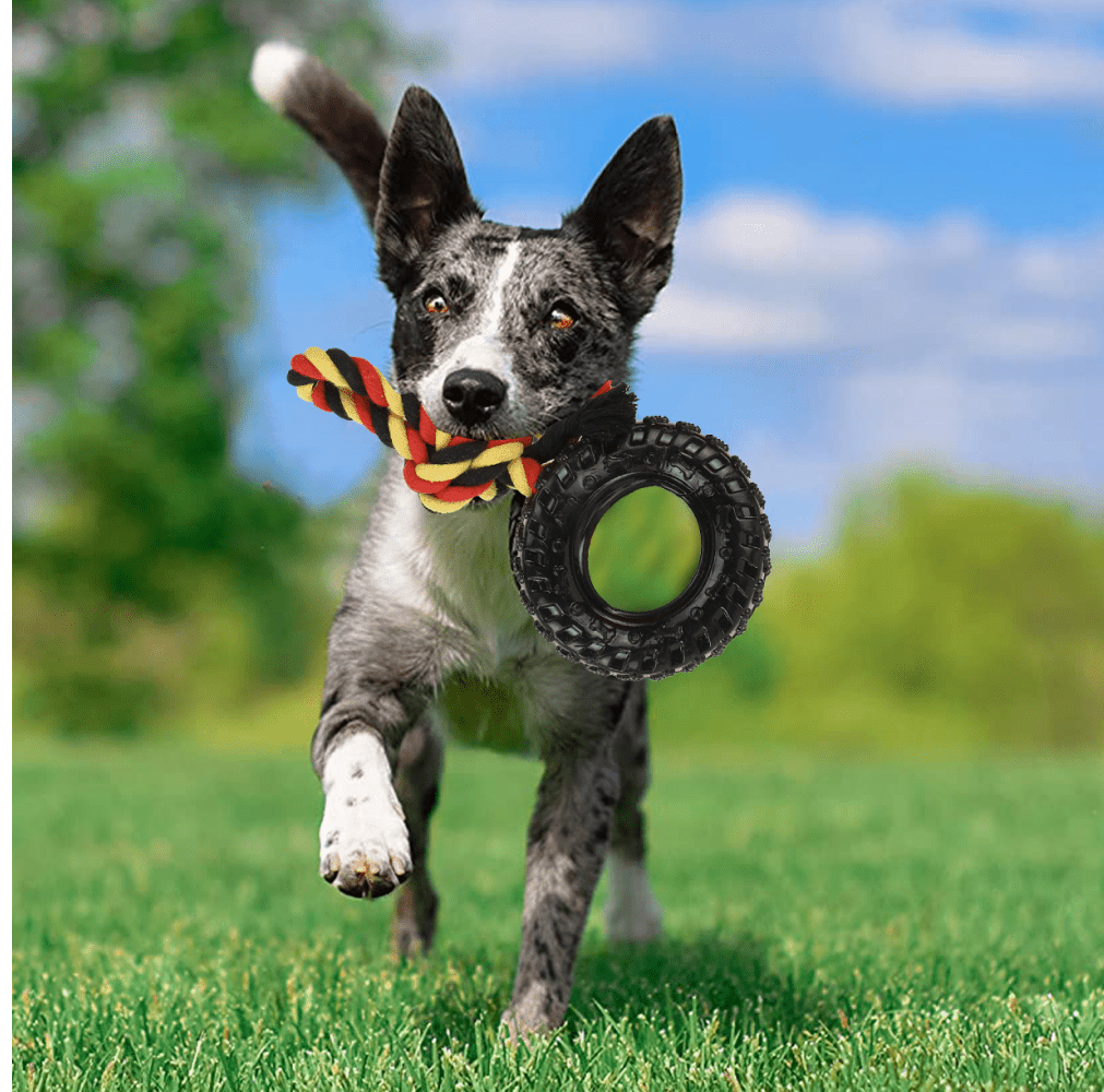 Basil Rubber Tyre with Cotton Rope for Dogs image 6
