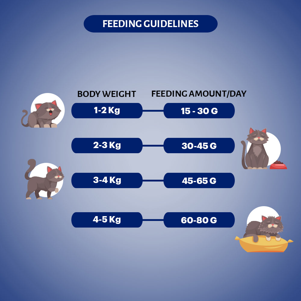 Signature Grain Zero Seafood Adult Cat Dry Food For All Breed image 3
