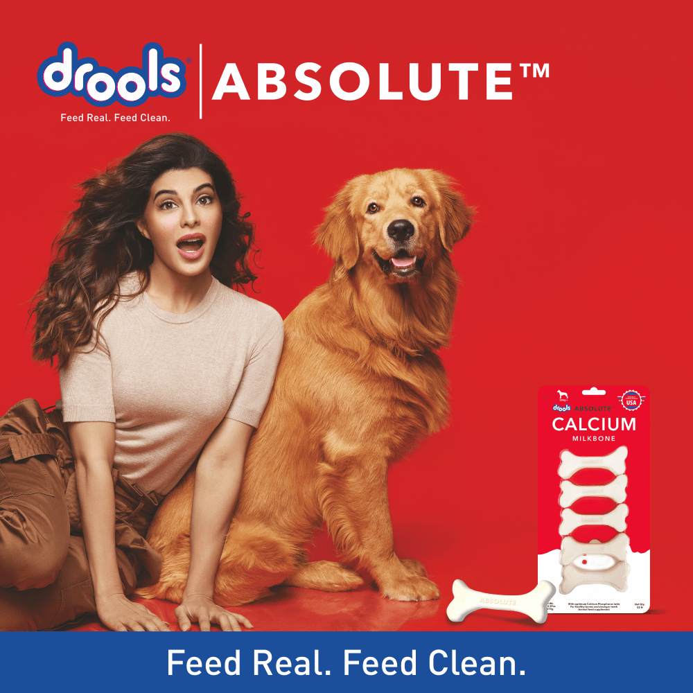 Drools Absolute Calcium Bone for Large Dogs image 7