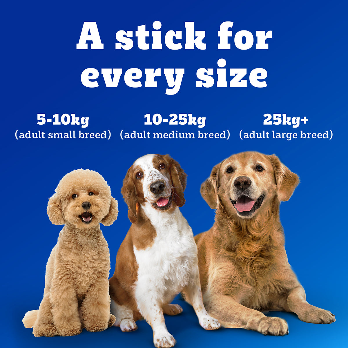 Pedigree Dentastix Oral Care for Adult (Medium Breed of 10 to 25 kg) Dog Treats image 8