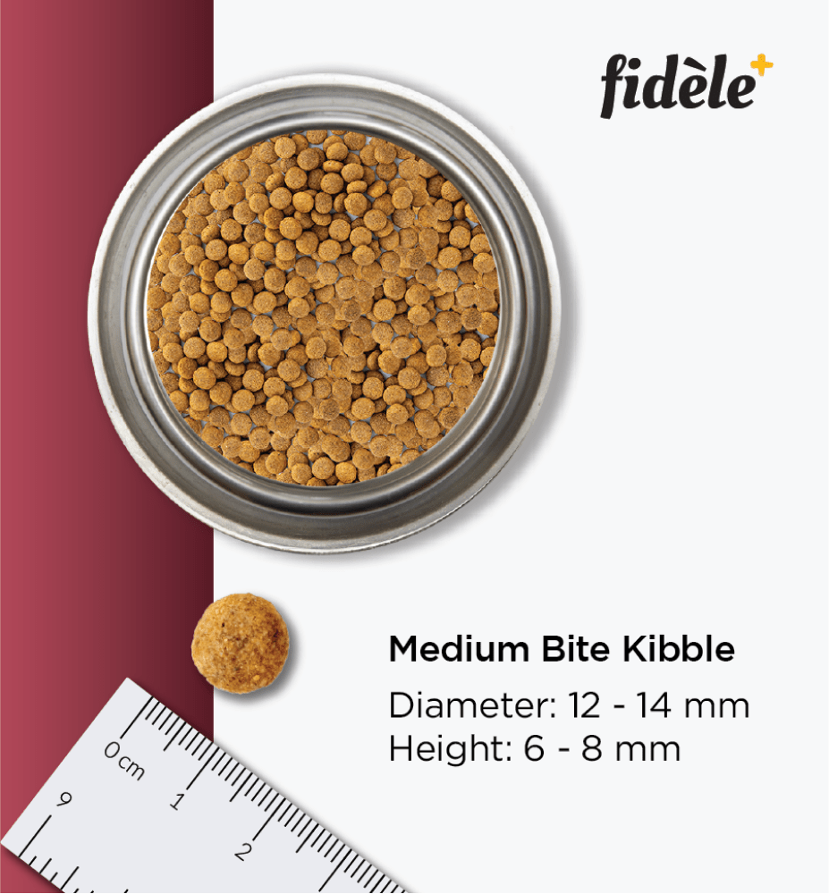 Fidele Plus Adult Light & Senior Dog Dry Food image 7