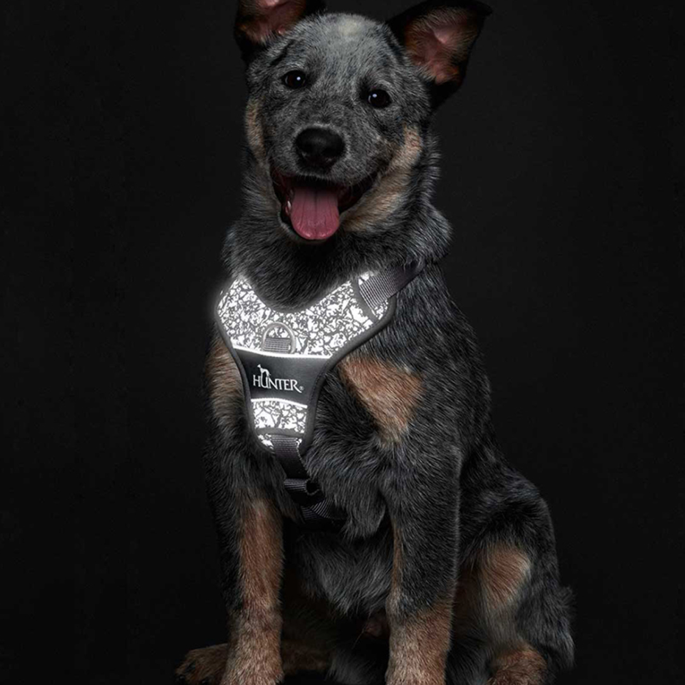 Hunter Divo Reflect Harness for Dogs (Black) image 7
