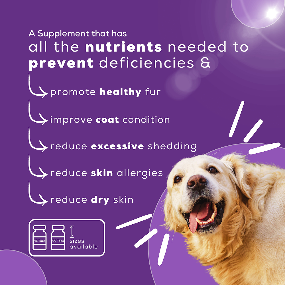 Venttura Fur Plus Chewable Skin & Coat Supplement Tablets for Dogs image 3