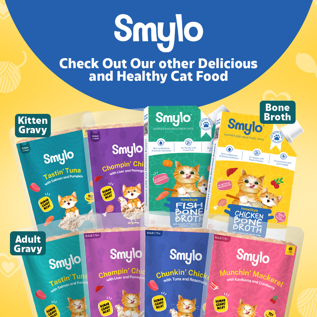 Smylo Kitten Trial Box, Tuna & Chicken, Fresh & No-Preservative Wet Cat Food image 8